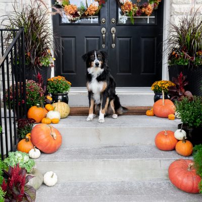 Traditional Fall Porch